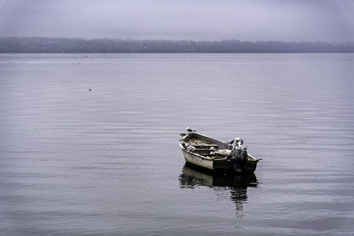 Nyon