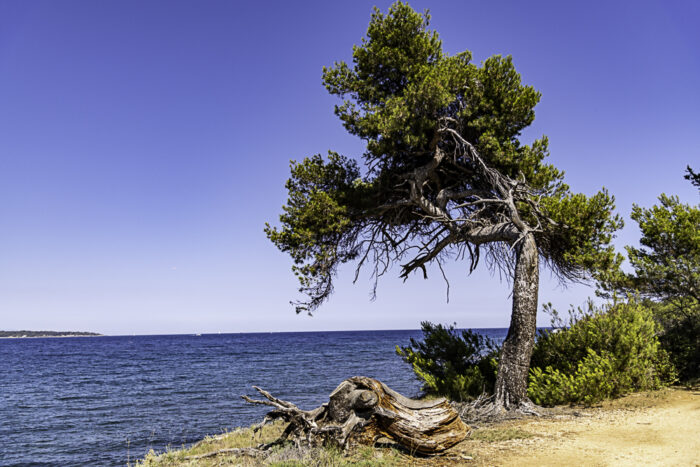 Plage 2